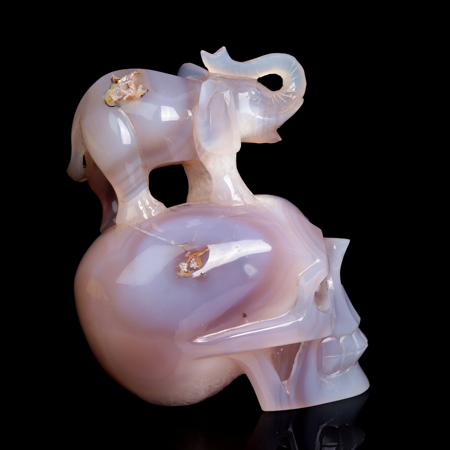 6" Druzy Agate Carved Crystal Skull Elephant Figurine Quartz Arts