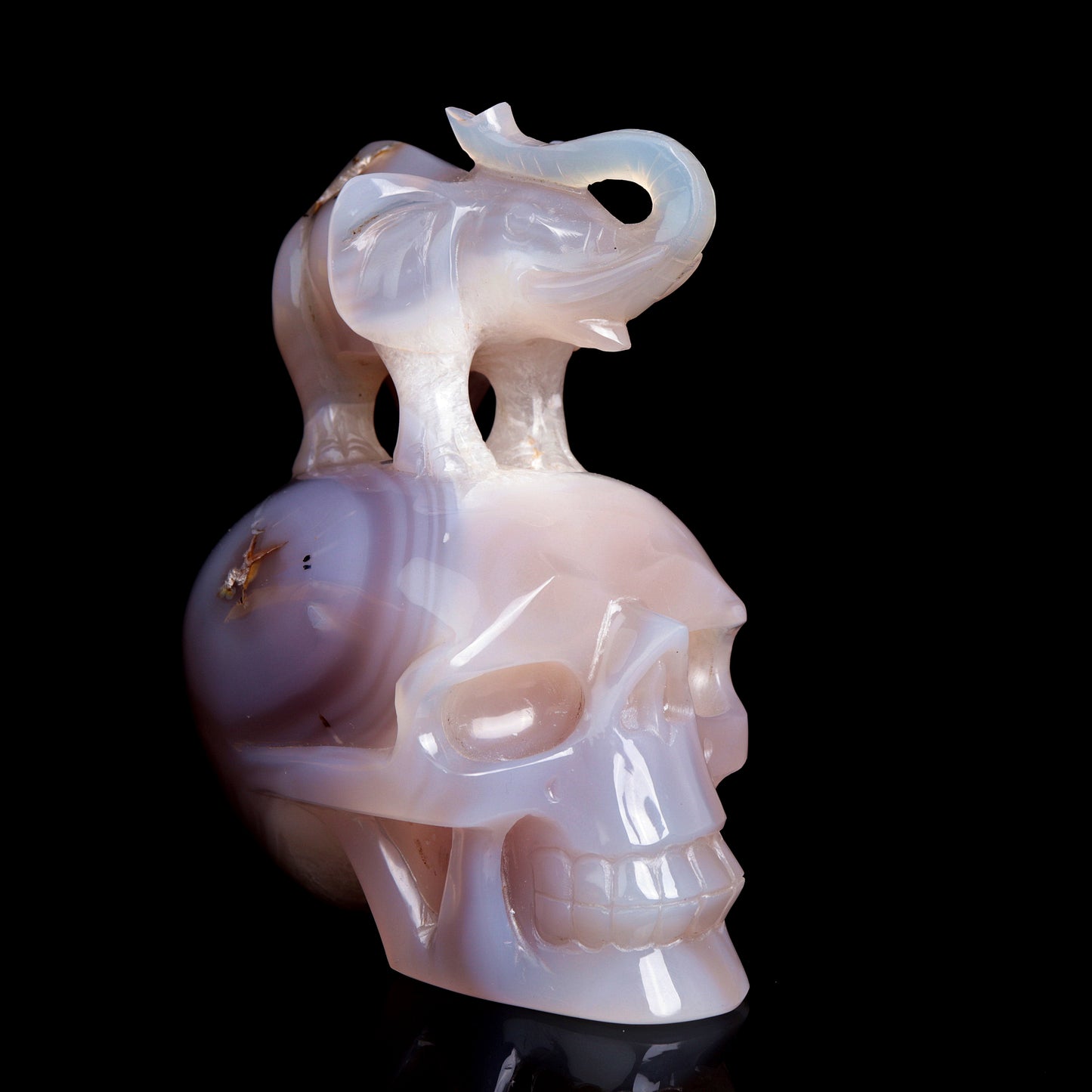 6" Druzy Agate Carved Crystal Skull Elephant Figurine Quartz Arts