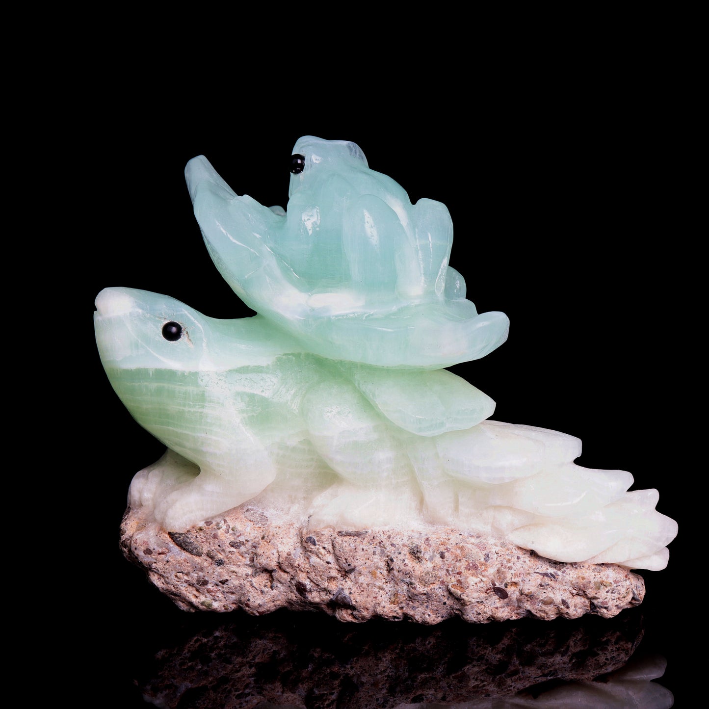 Caribbean Calcite frog