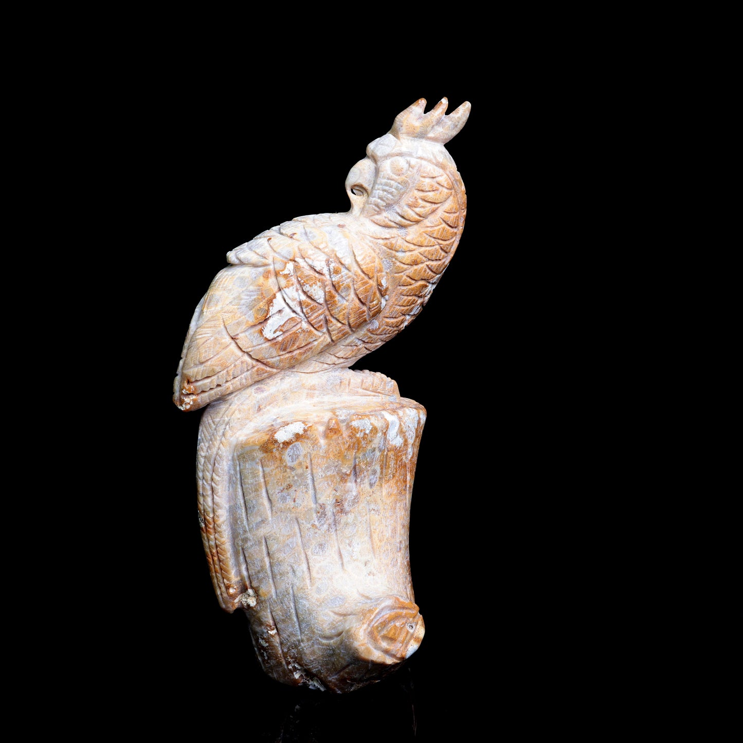 7.5" Coral Jade Carved Crystal Parrot Figurine Realistic Healing Quartz Decor