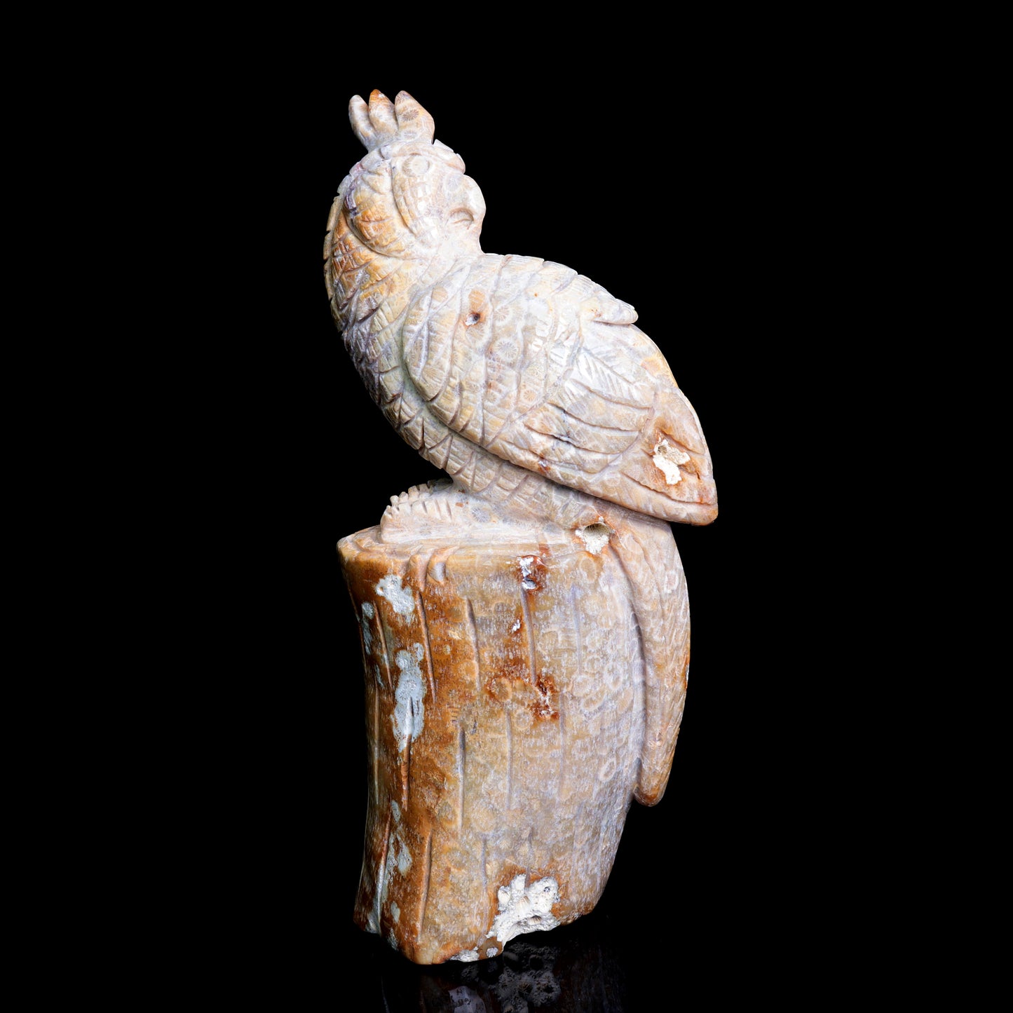 7.5" Coral Jade Carved Crystal Parrot Figurine Realistic Healing Quartz Decor