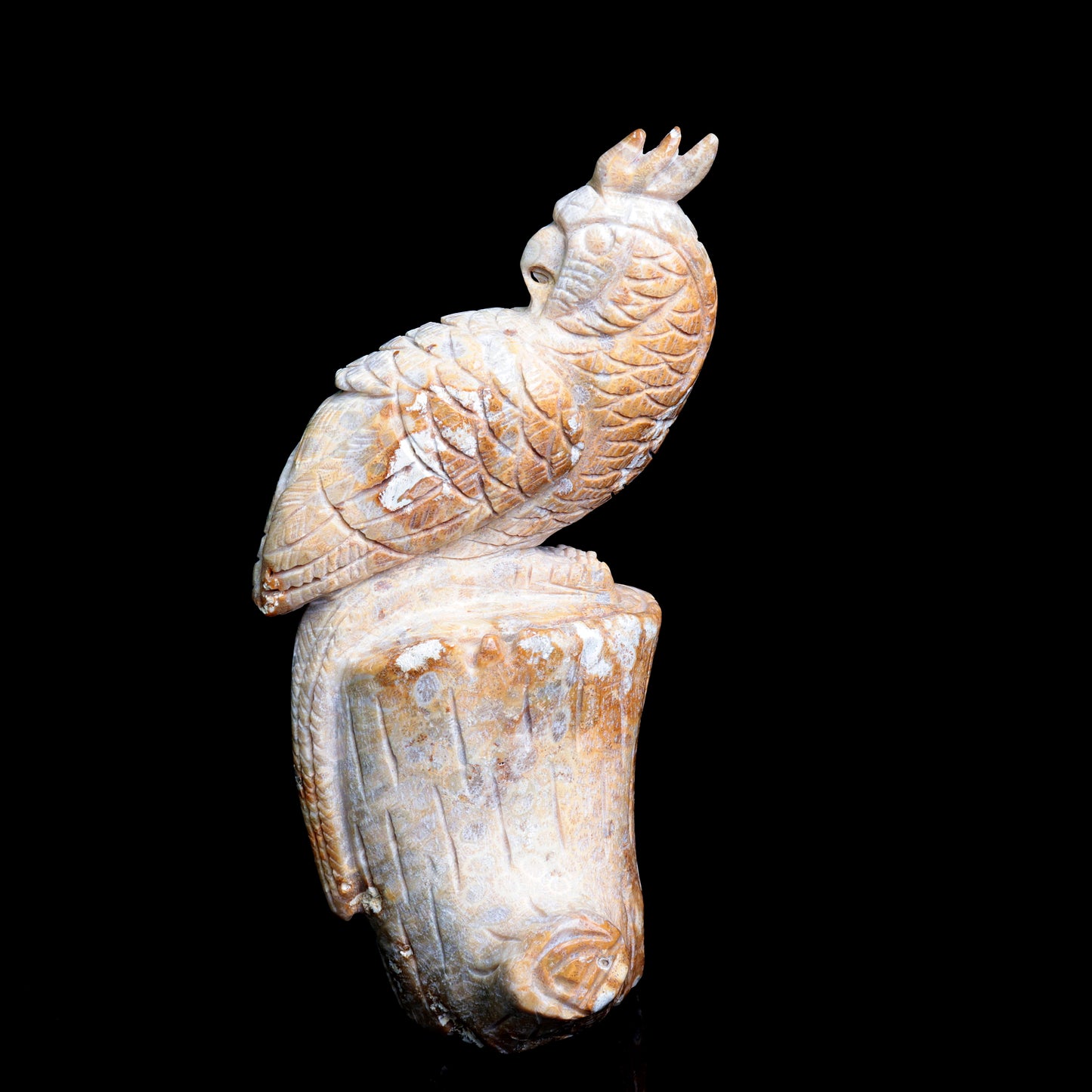 Parrot Sculpture