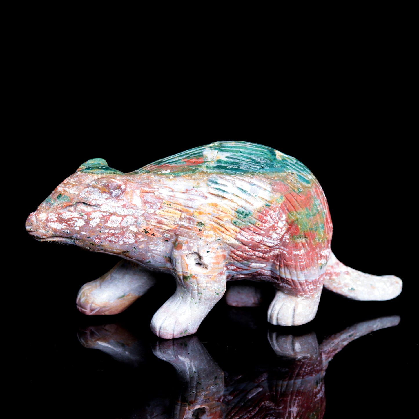 ocean japser Beaver