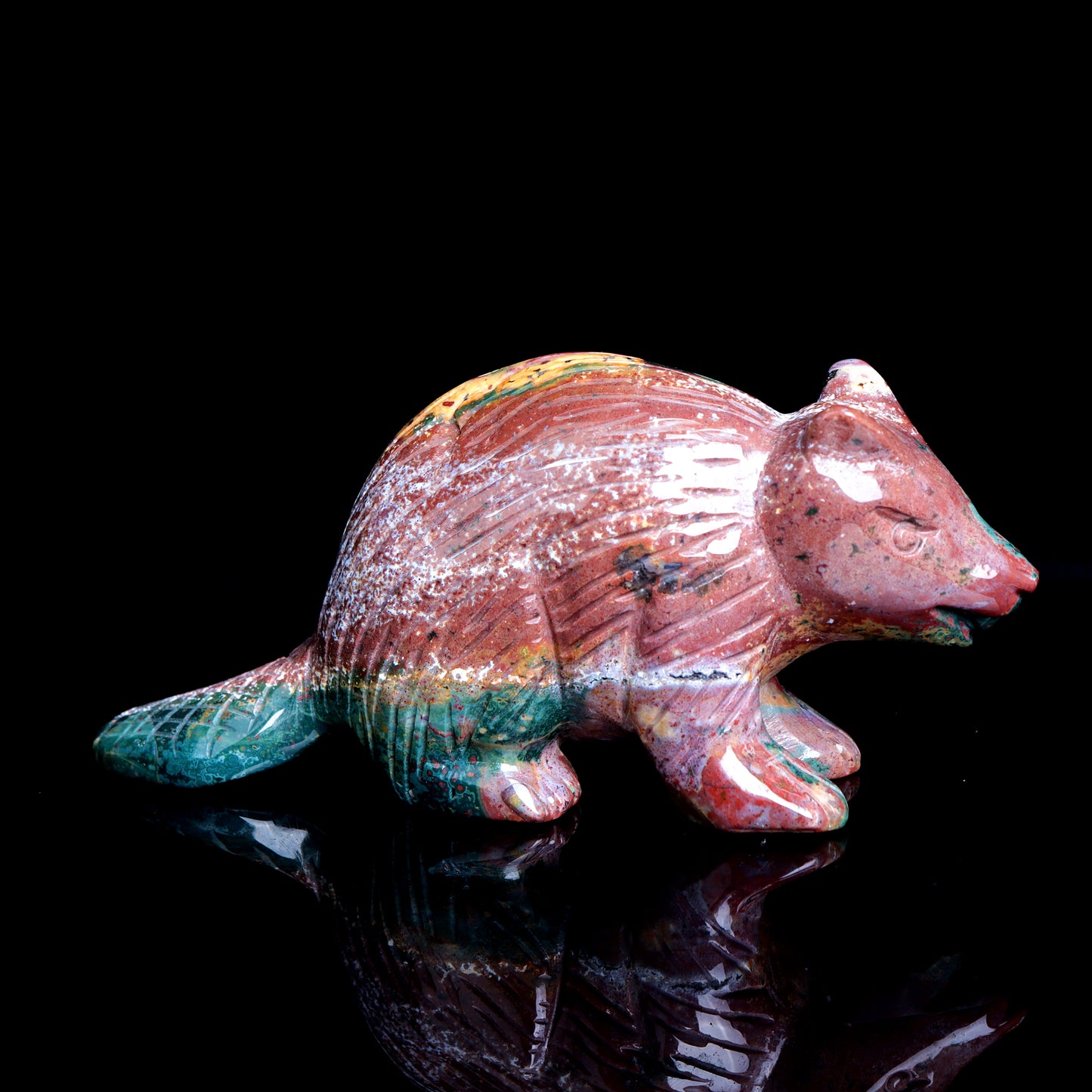 ocean jasper Beaver