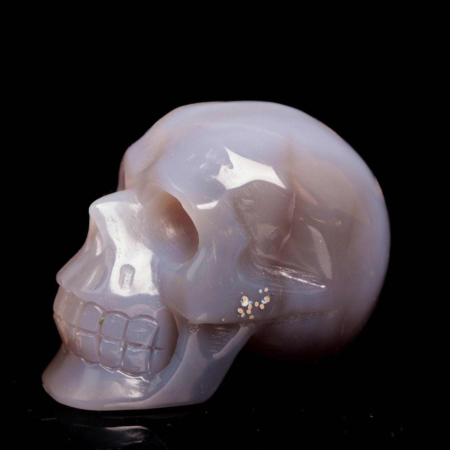 3" HandCarved Druzy agate Crystal Skull Healing Quartz Reiki Gift