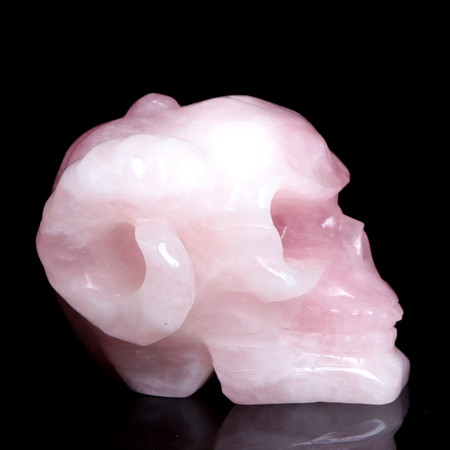 4" Rose Quartz Crystal Skull Horns Figurine Quartz Healing Decor Gift