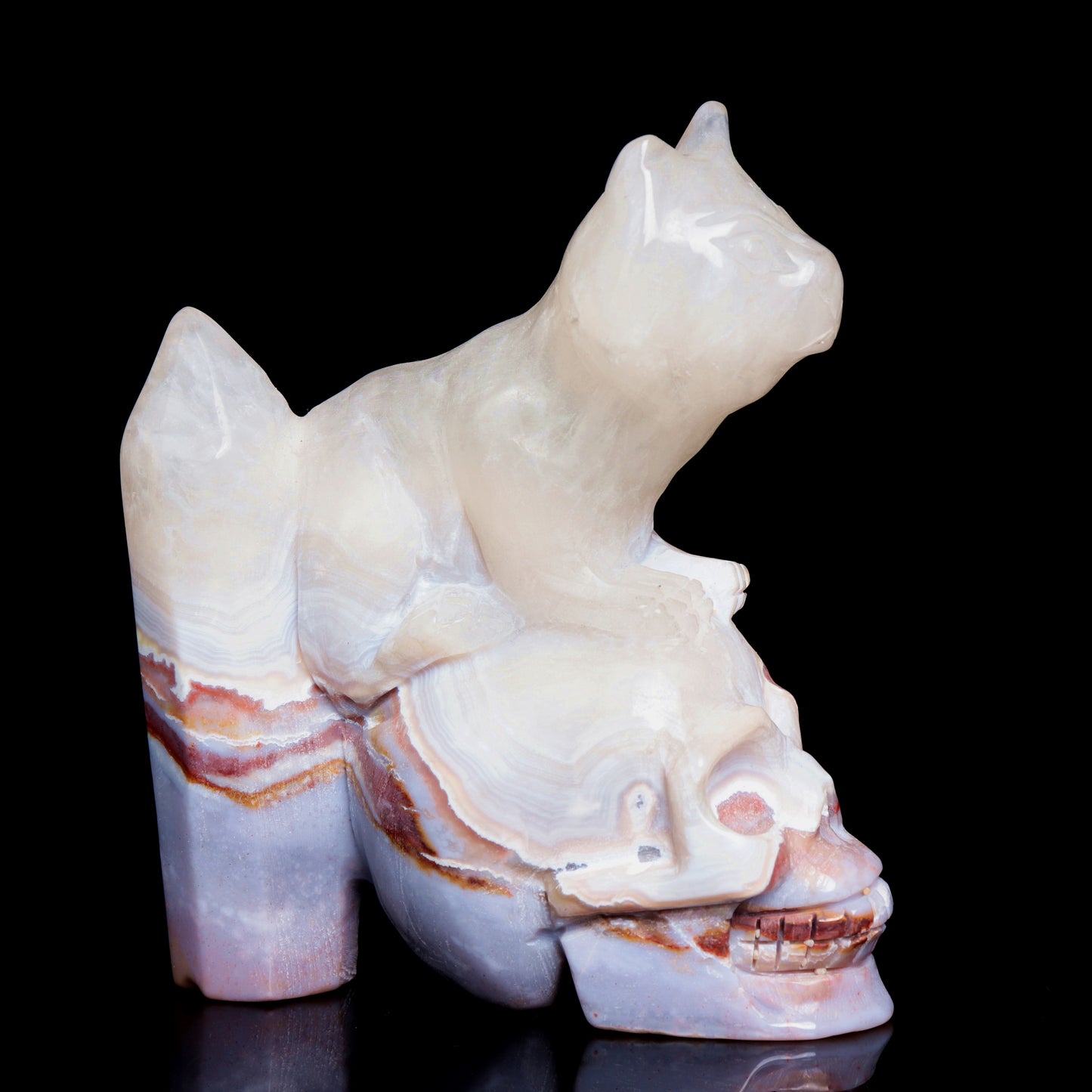 4.5" Ocean Jasper Crystal Skull With Cat Figurine Quartz Healing Decor Gift