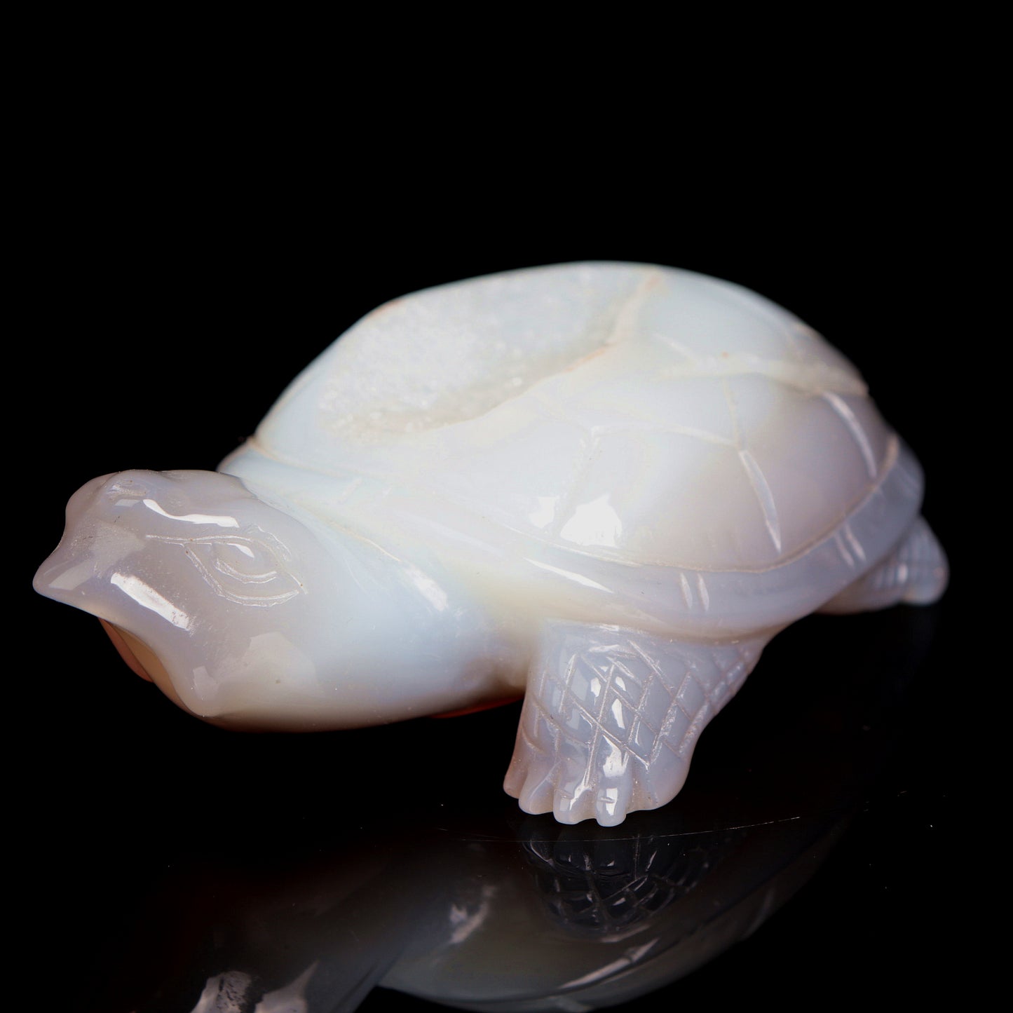 5.5" Druzy Agate Carved Crystal tortoise Figurine Healing Quartz Decor