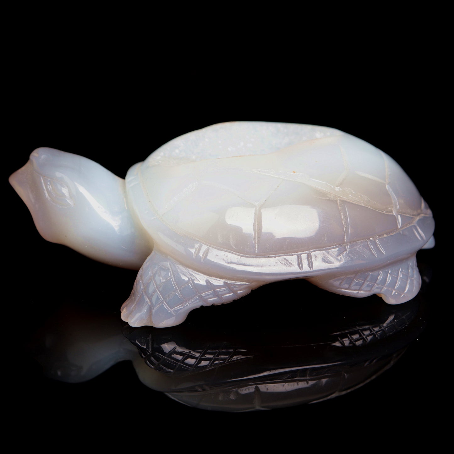 5.5" Druzy Agate Carved Crystal tortoise Figurine Healing Quartz Decor