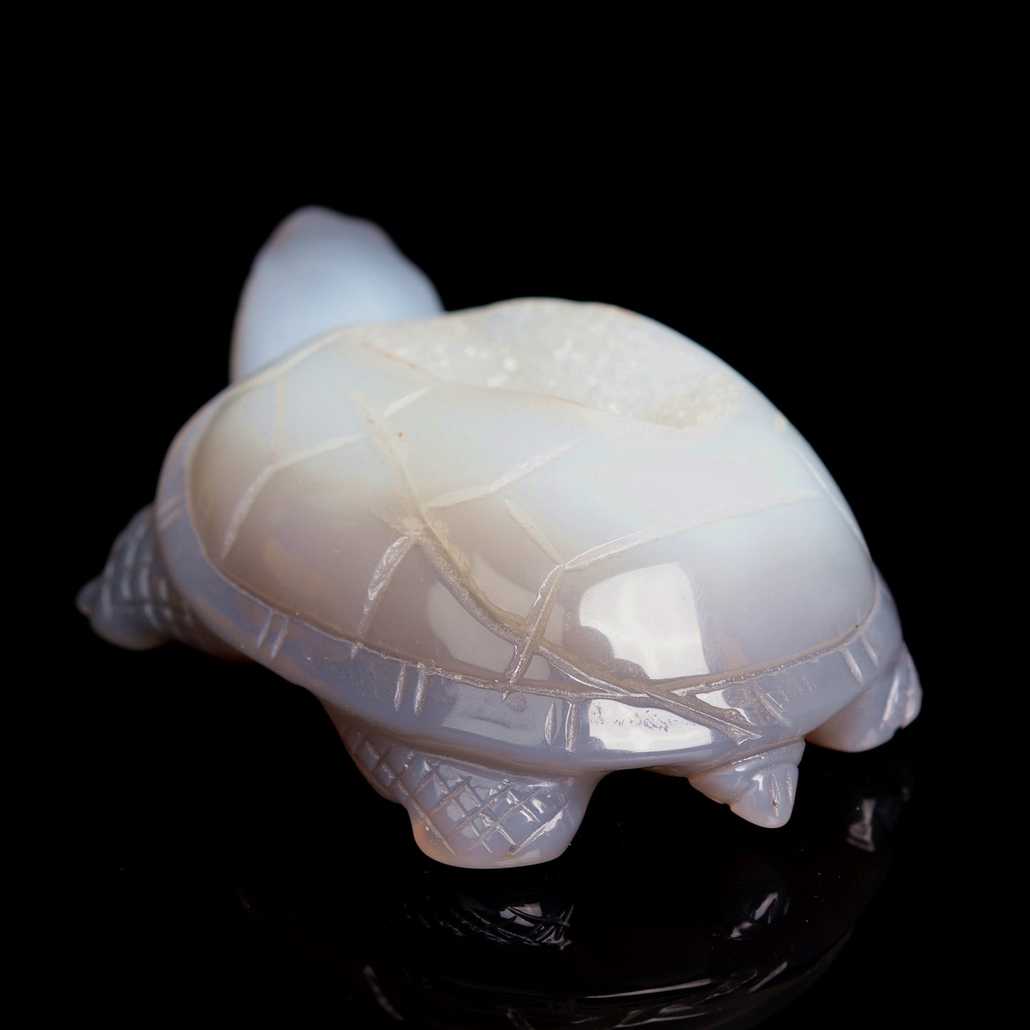 5.5" Druzy Agate Carved Crystal tortoise Figurine Healing Quartz Decor