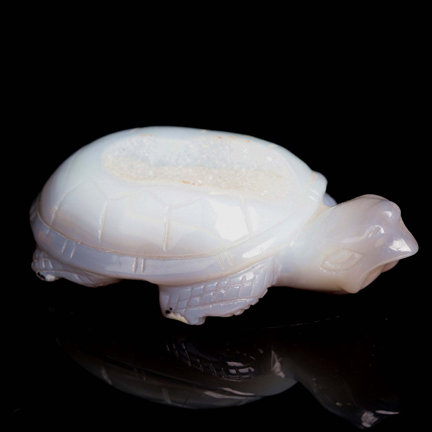 5.5" Druzy Agate Carved Crystal tortoise Figurine Healing Quartz Decor