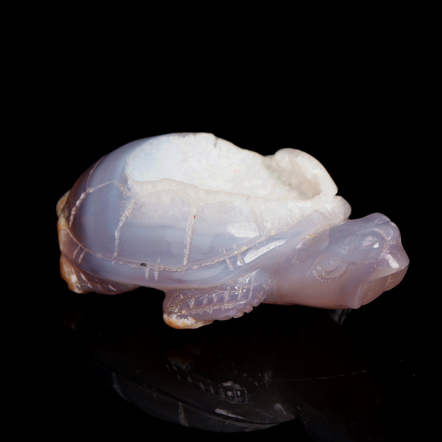 4.5" Druzy Agate Carved Crystal tortoise Figurine Quartz Turtle Decor