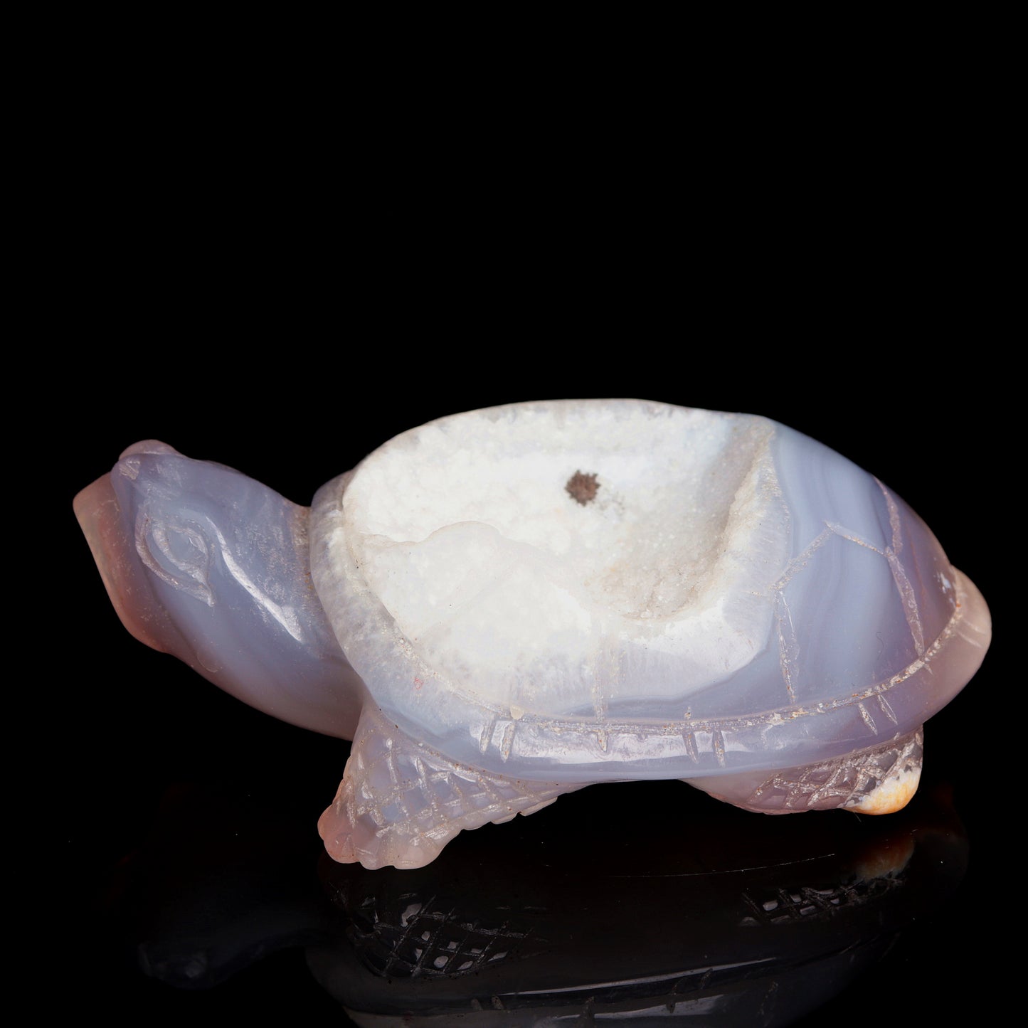 4.5" Druzy Agate Carved Crystal tortoise Figurine Quartz Turtle Decor