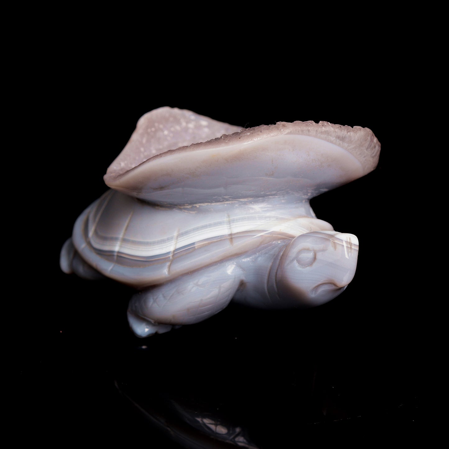 4.5" Druzy Agate Carved Crystal tortoise Figurine Quartz Turtle Decor