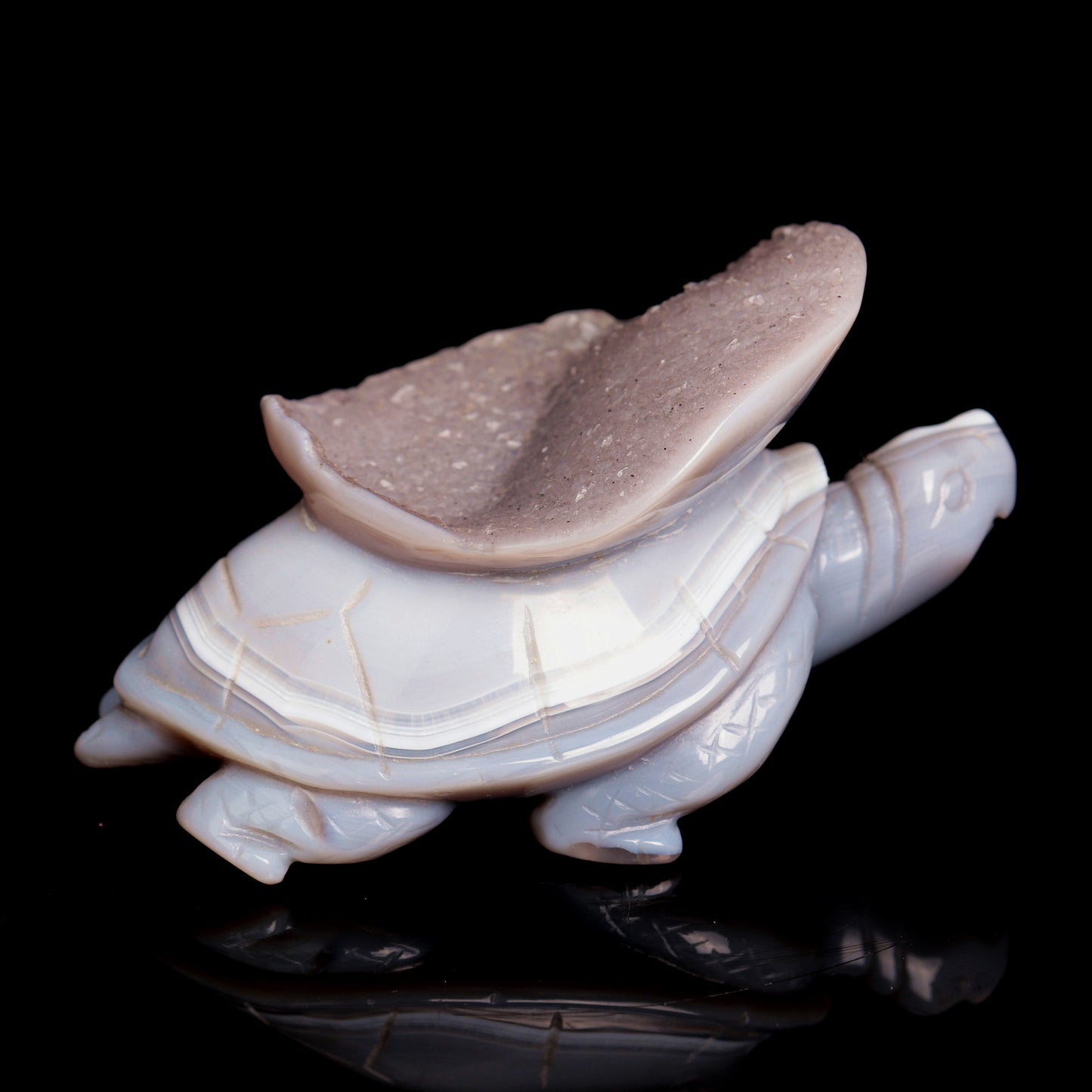4.5" Druzy Agate Carved Crystal tortoise Figurine Quartz Turtle Decor