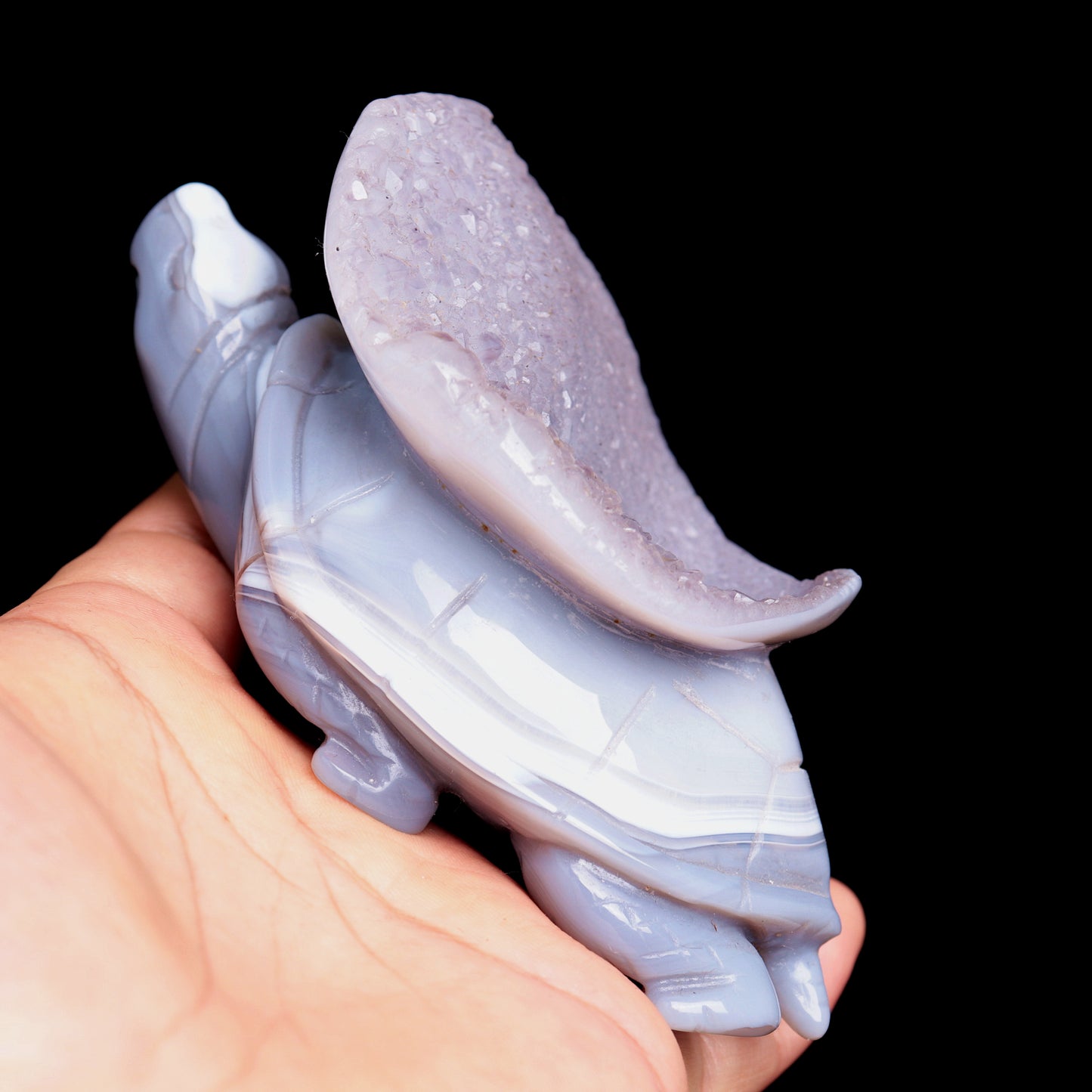 4.5" Druzy Agate Carved Crystal tortoise Figurine Quartz Turtle Decor