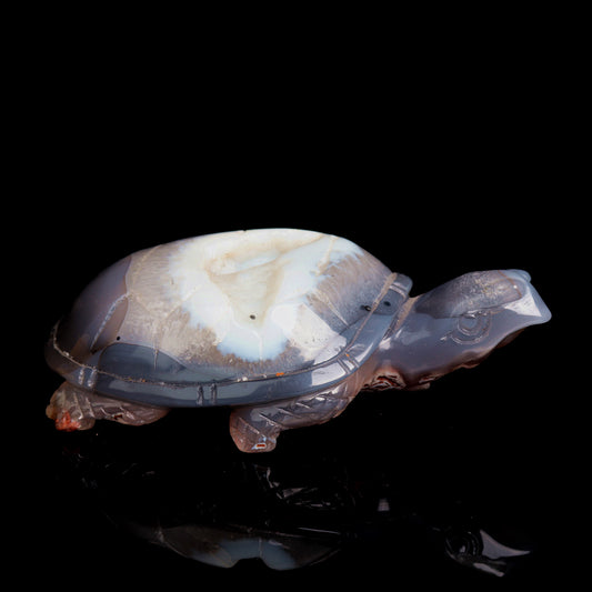 5" Druzy Agate Carved Crystal tortoise Figurine Quartz Turtle Decor