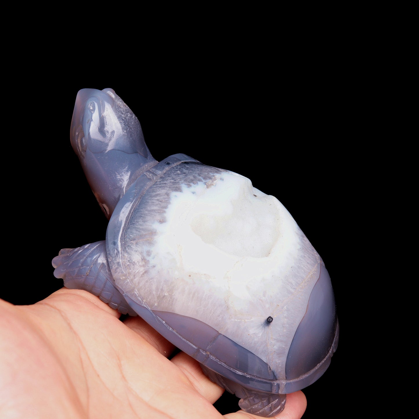 5" Druzy Agate Carved Crystal tortoise Figurine Quartz Turtle Decor