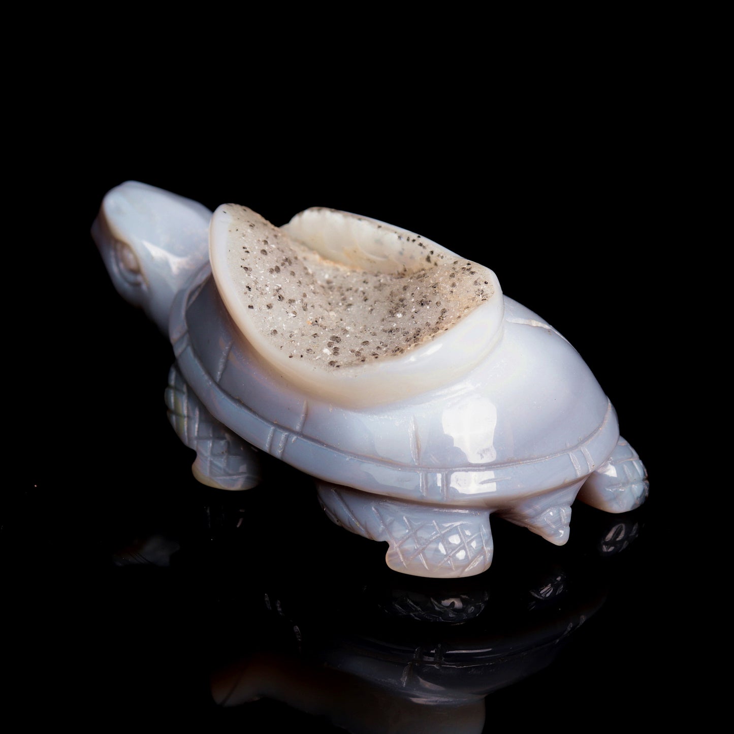 4.5" Druzy Agate Carved Crystal tortoise Figurine Quartz Turtle Decor