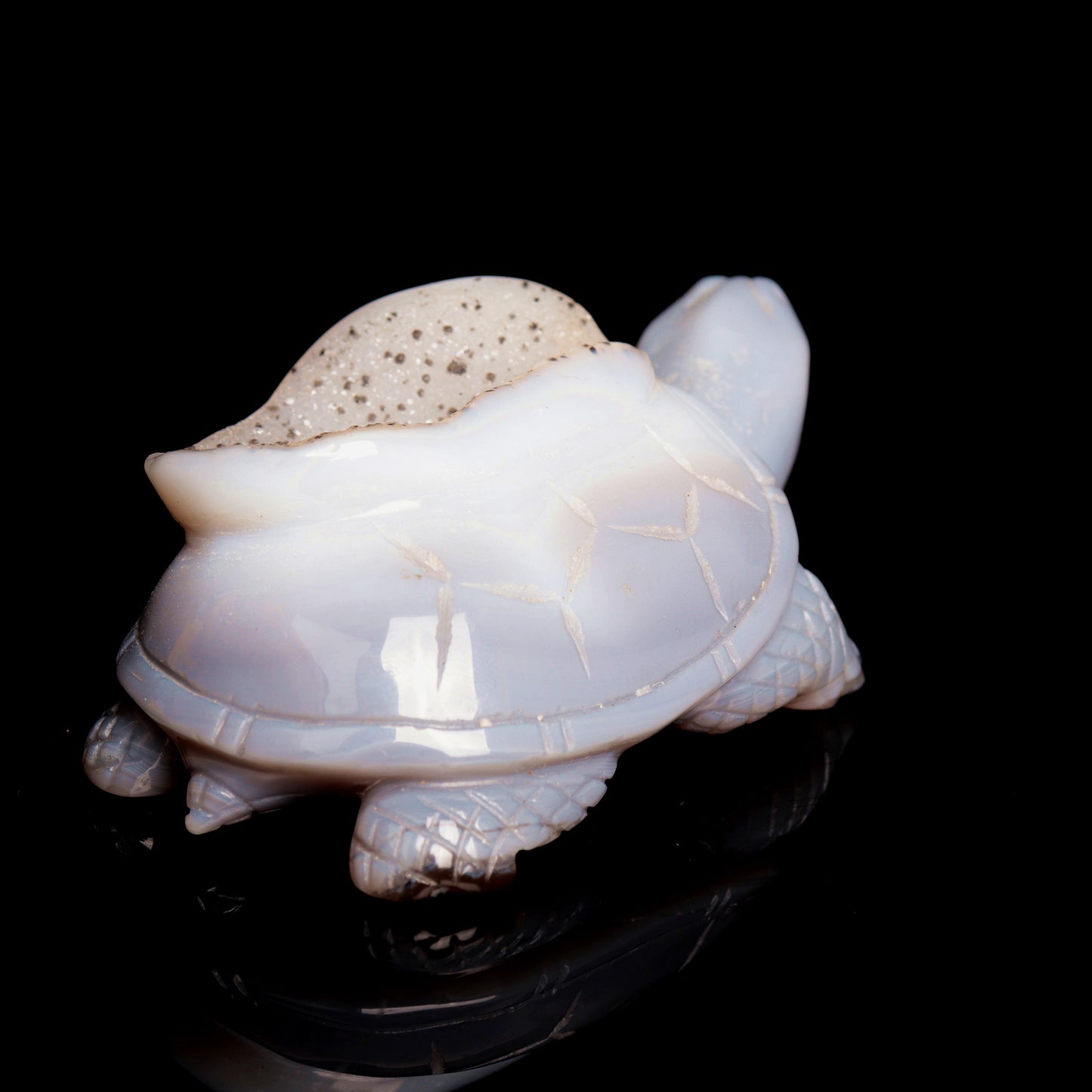 4.5" Druzy Agate Carved Crystal tortoise Figurine Quartz Turtle Decor