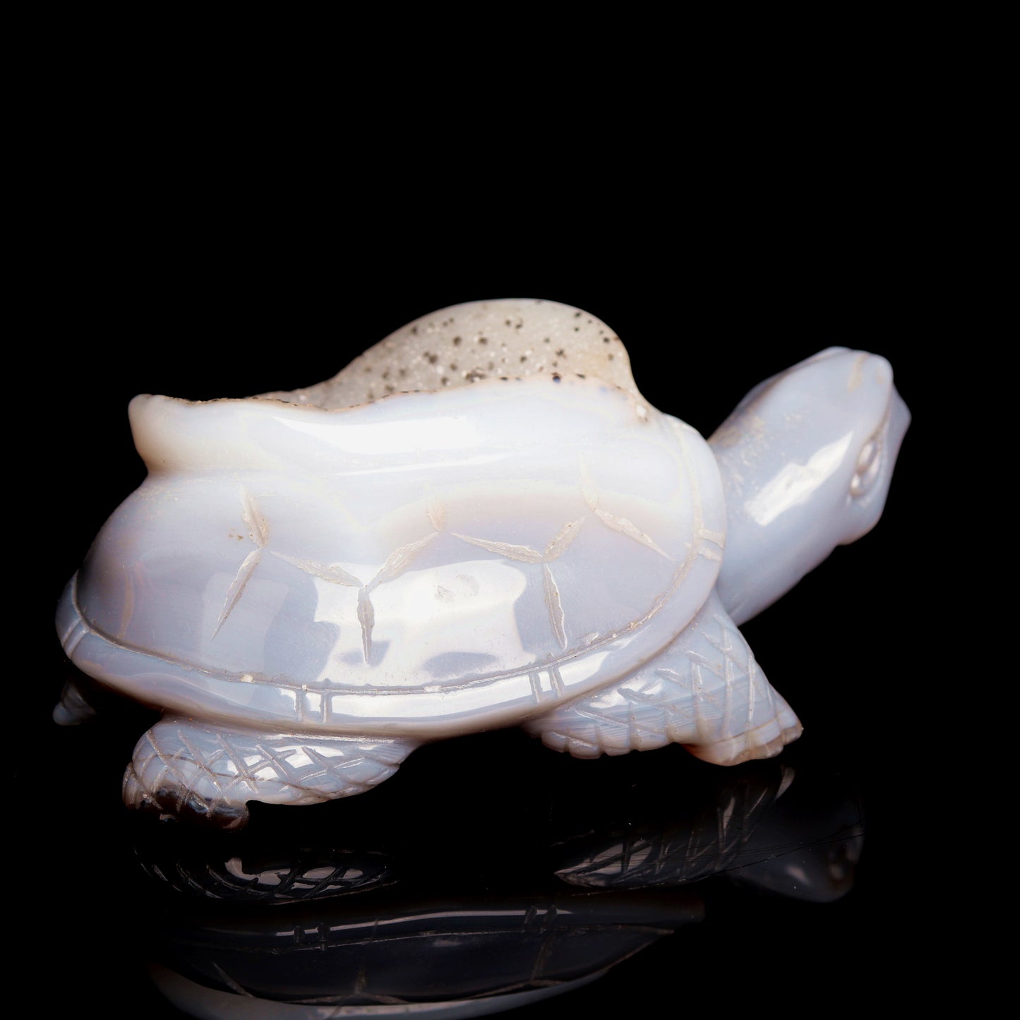4.5" Druzy Agate Carved Crystal tortoise Figurine Quartz Turtle Decor