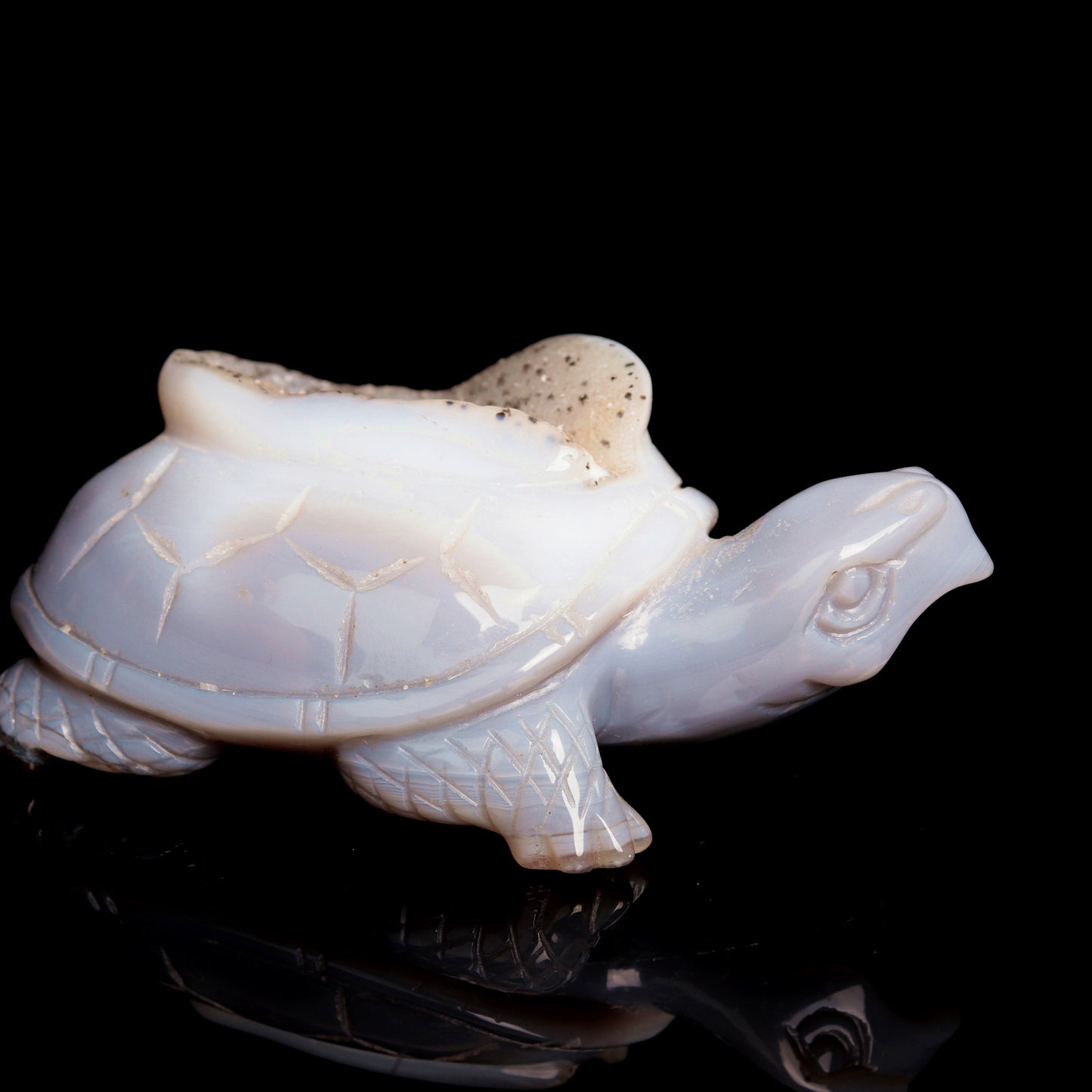 4.5" Druzy Agate Carved Crystal tortoise Figurine Quartz Turtle Decor