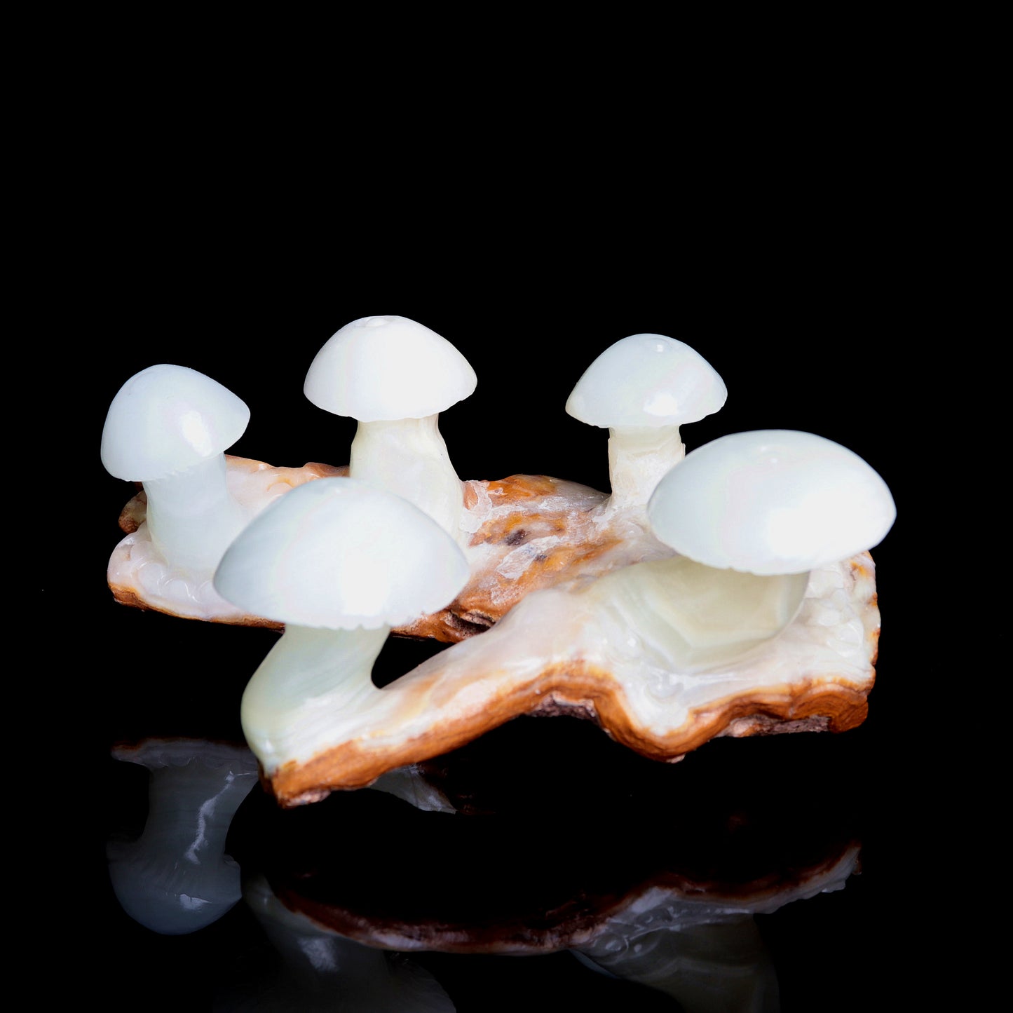 5.5" Afghan Jade Crystal Mushroom Figurine Healing Quartz Decor Gift