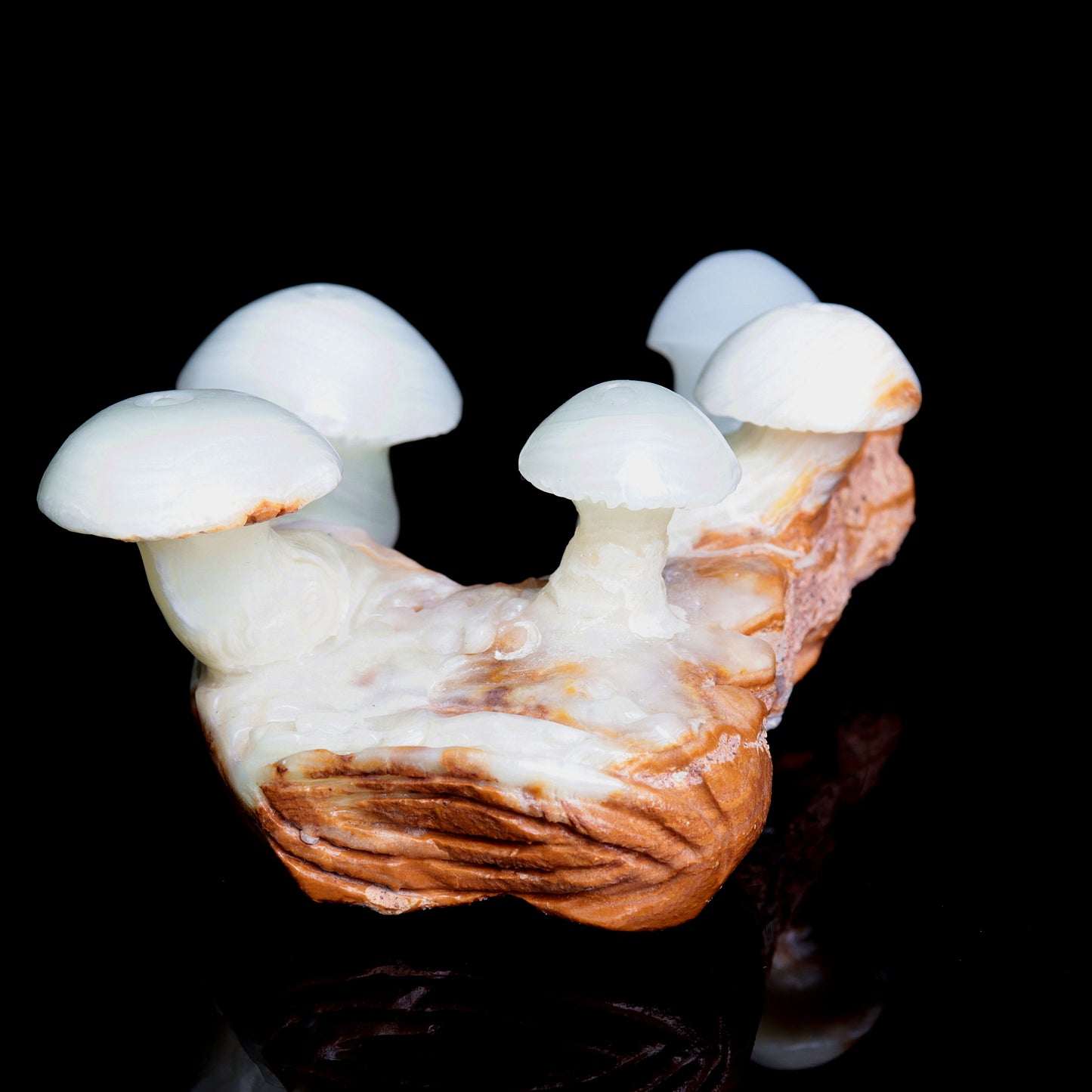 5.5" Afghan Jade Crystal Mushroom Figurine Healing Quartz Decor Gift