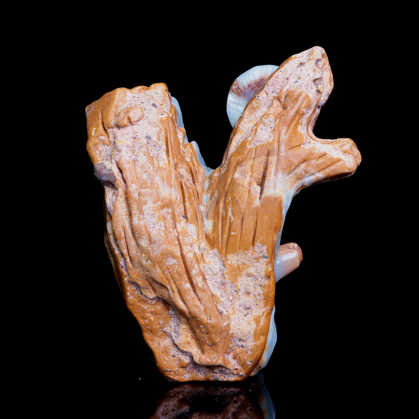 6" Afghan Jade Crystal Mushroom Figurine Healing Quartz Decor Gift