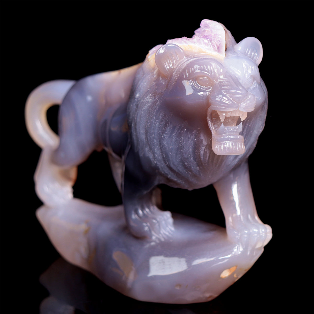 druzy lion