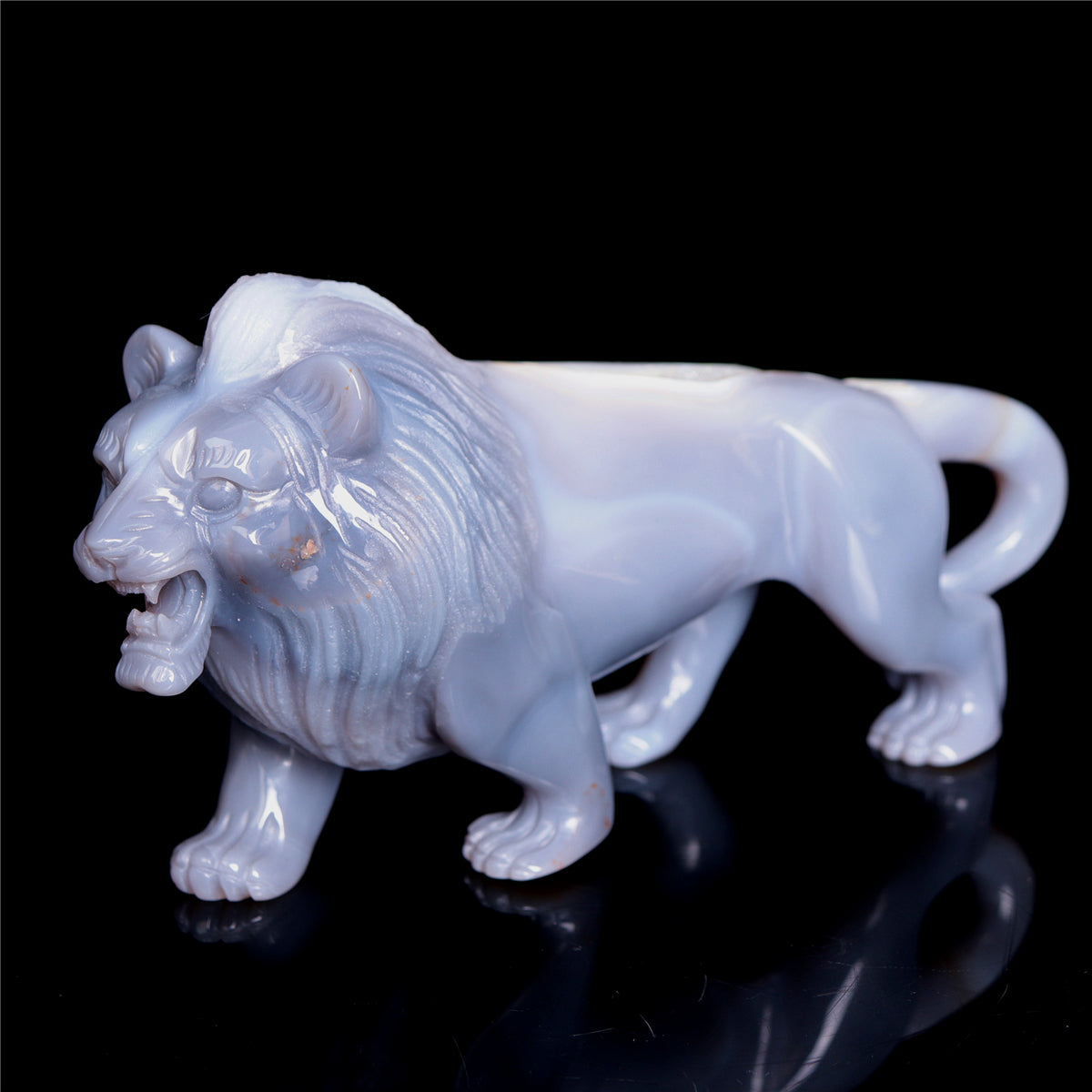 druzy lion