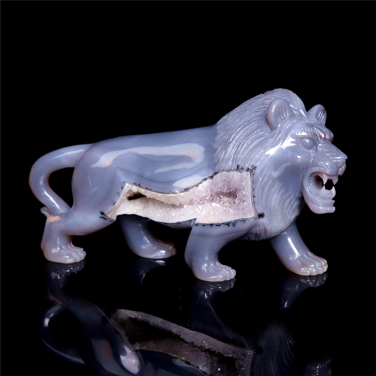 druzy lion