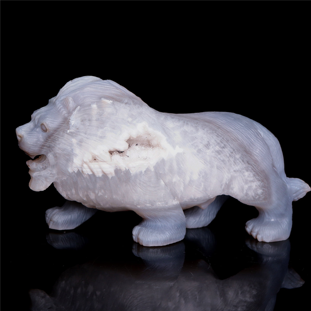 druzy lion