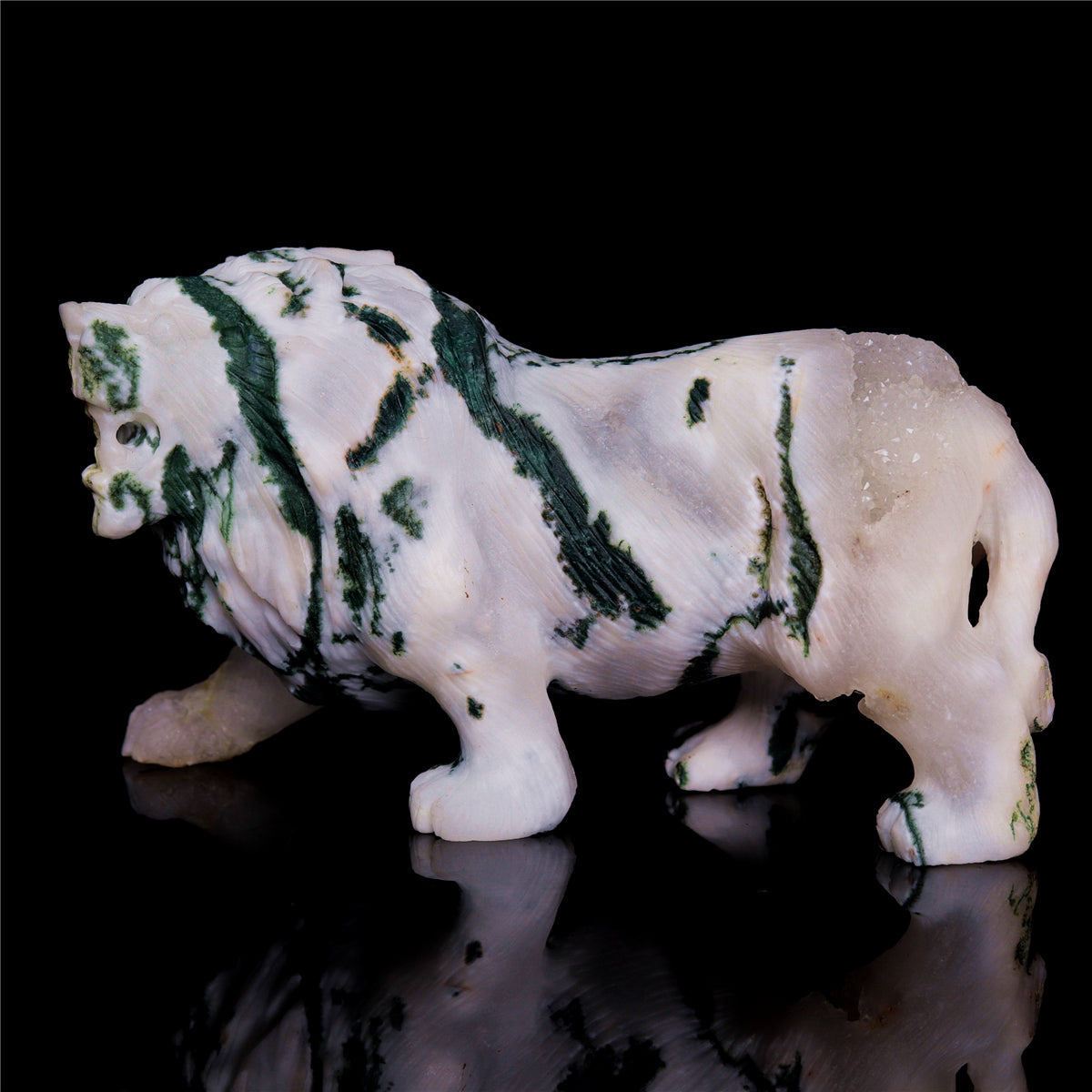 druzy lion