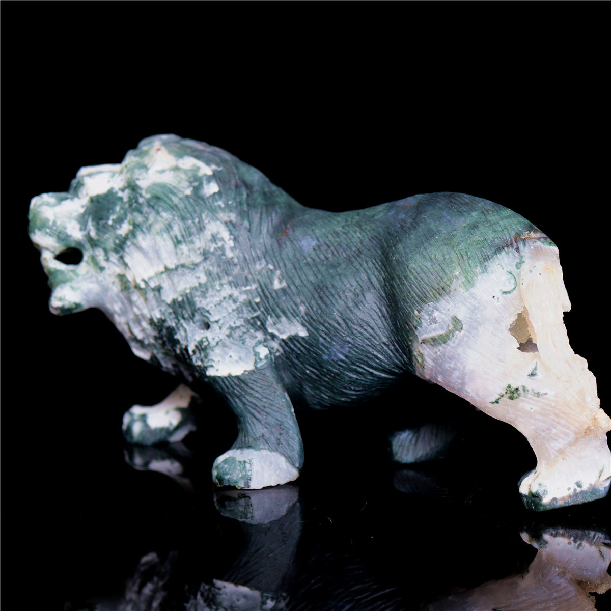 druzy lion