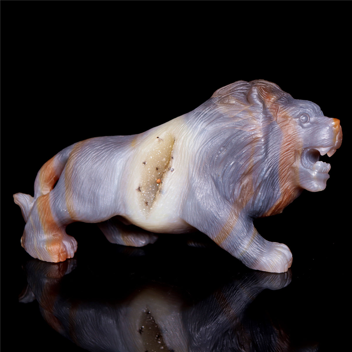 druzy lion