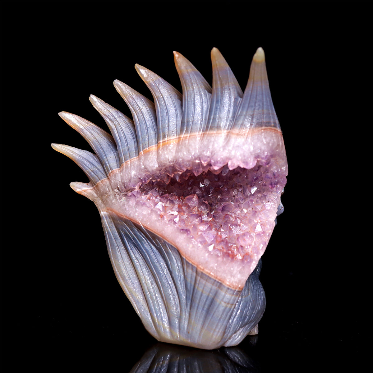 druzy fox