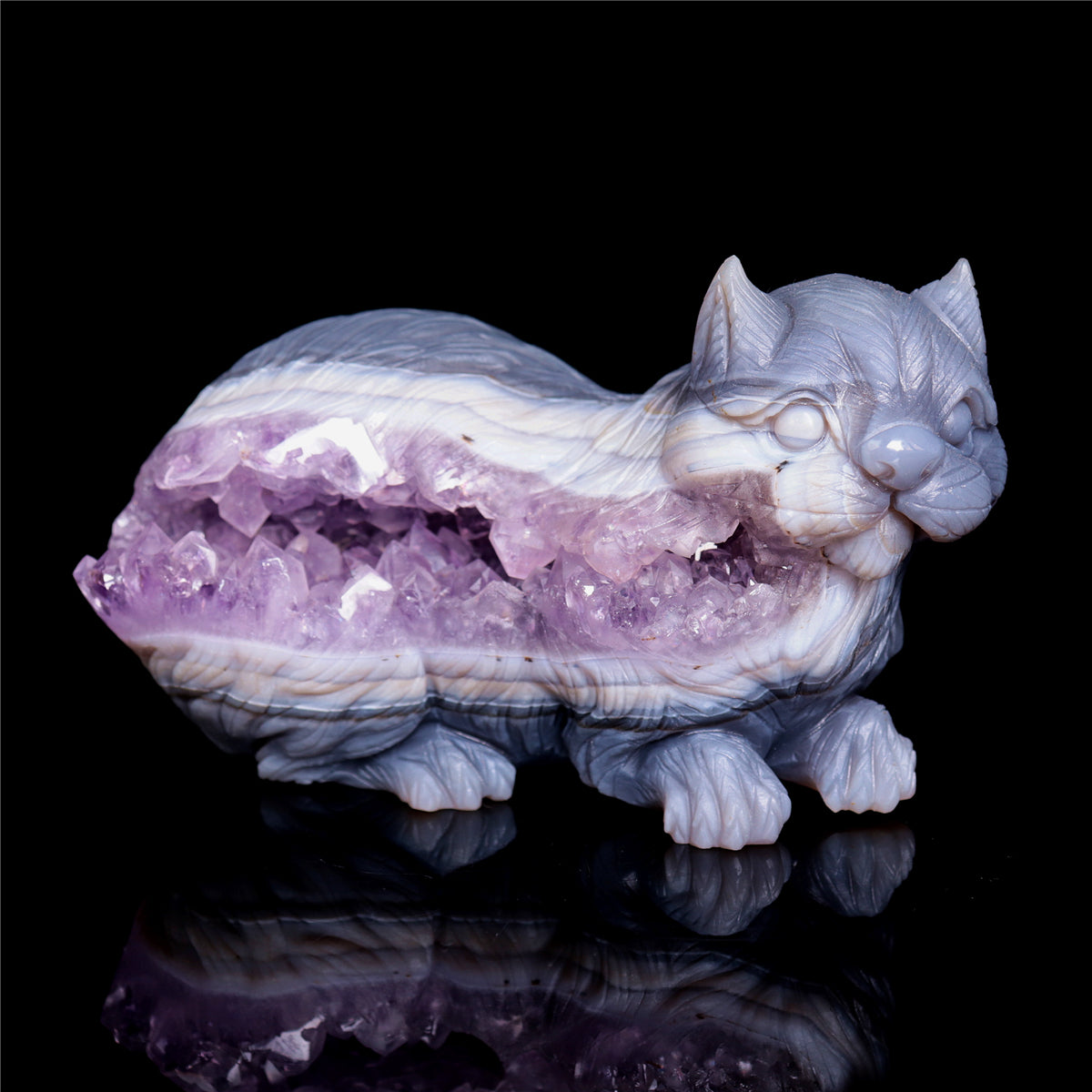 stone Squirrel