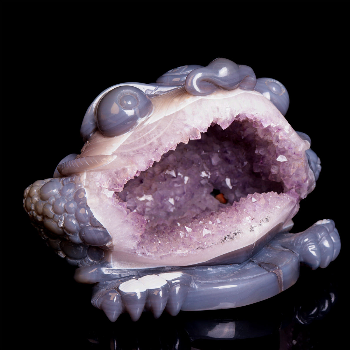 druzy money toad
