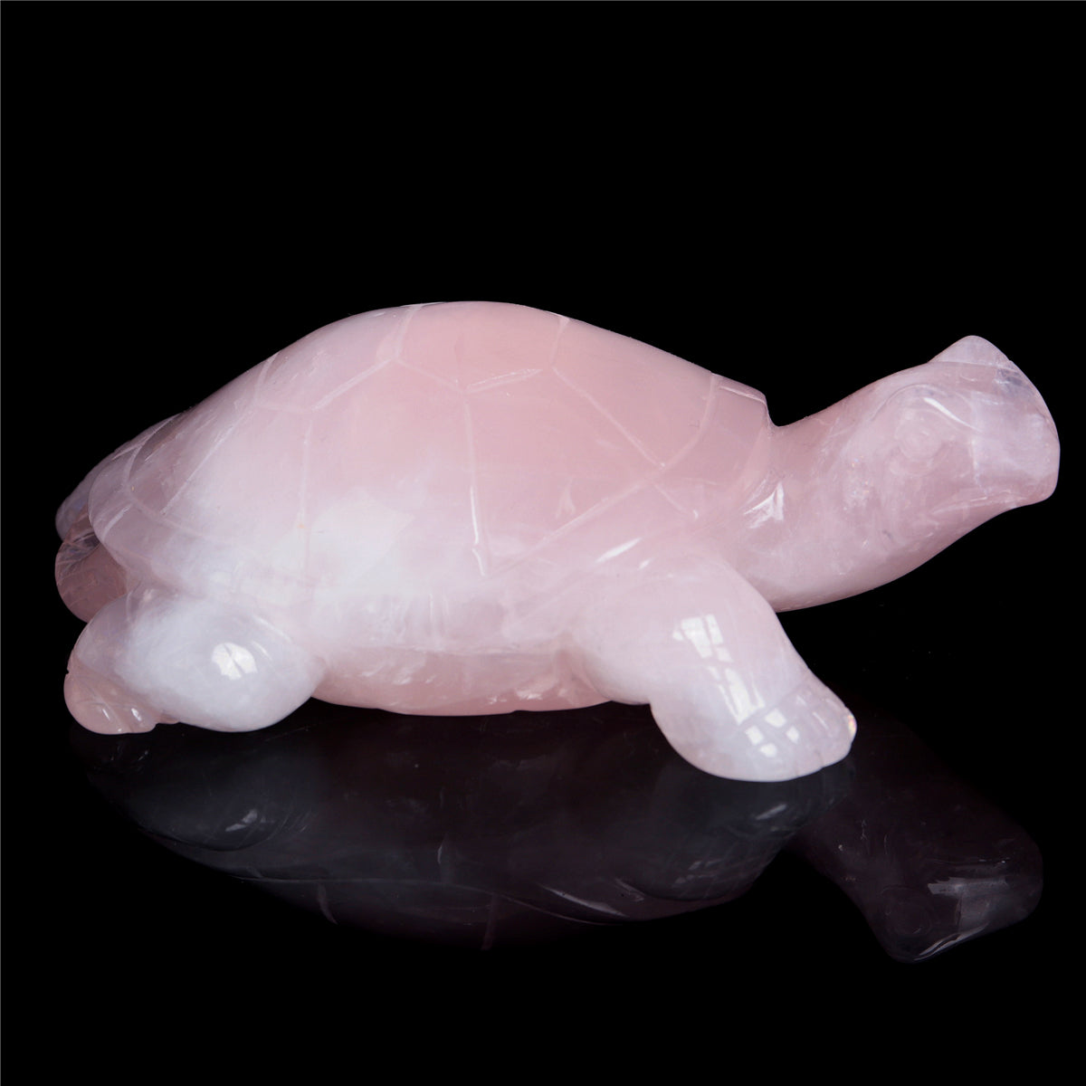 Crystal Turtle