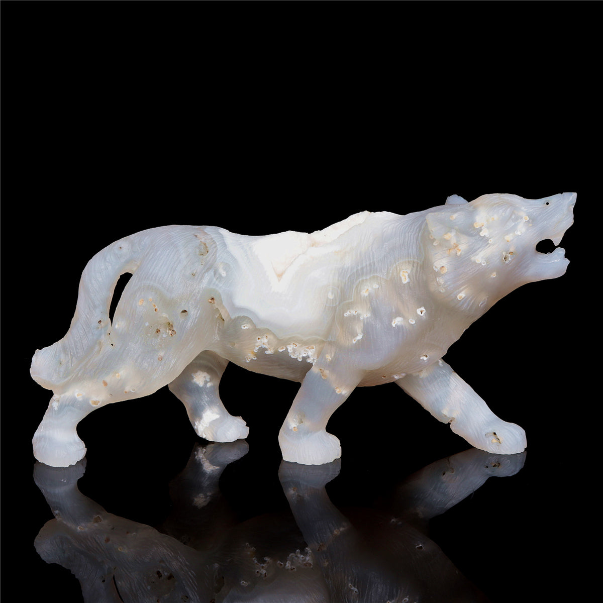 druzy wolf