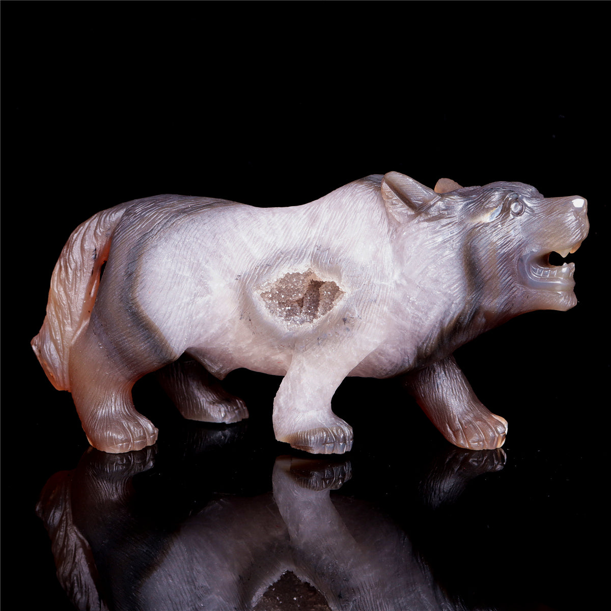 druzy wolf