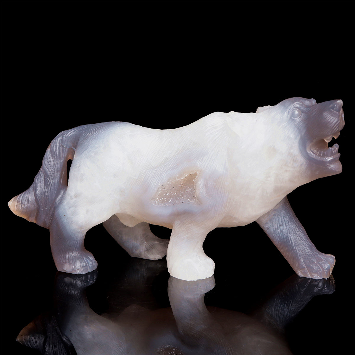 druzy wolf