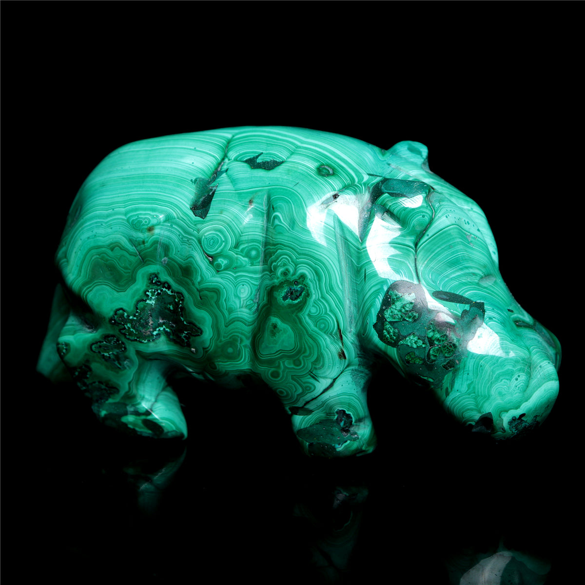 crystal hippo