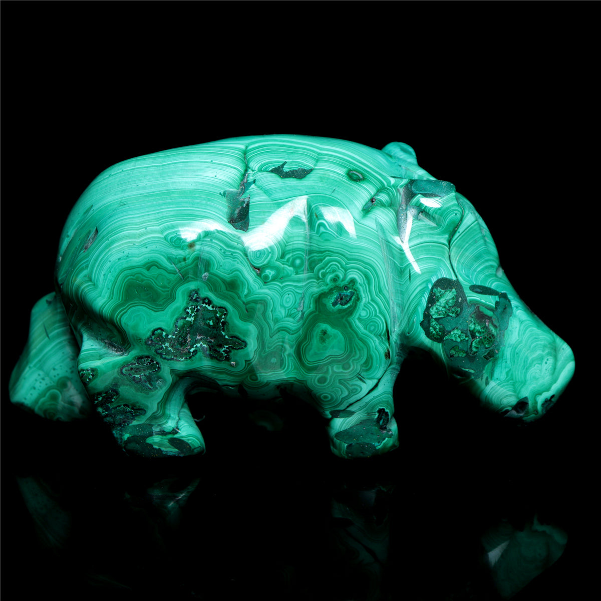 Malachite hippo
