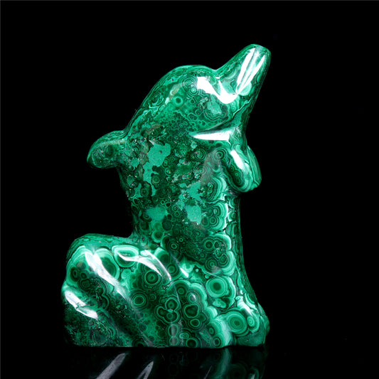 Malachite Dolphin
