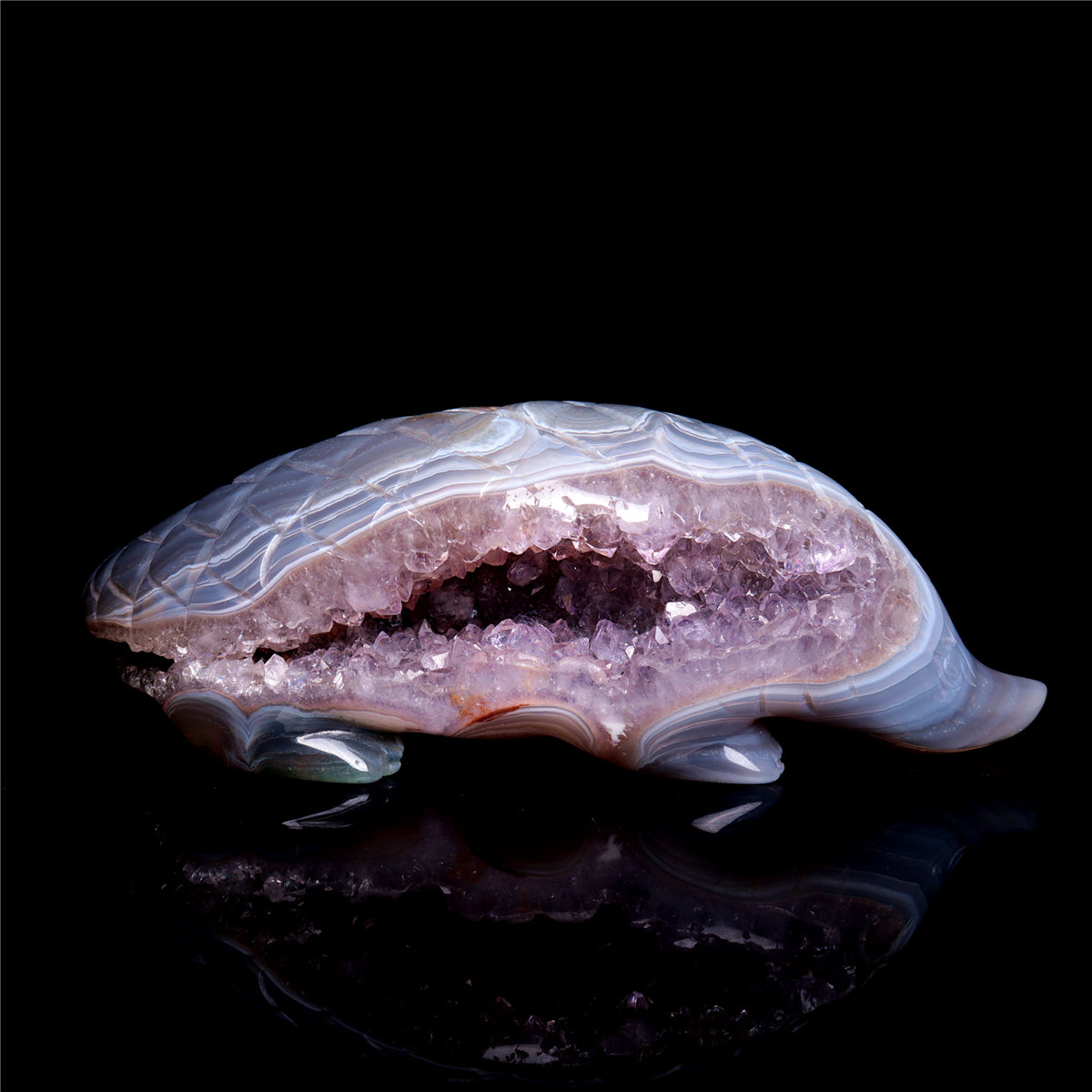 Crystal Pangolin
