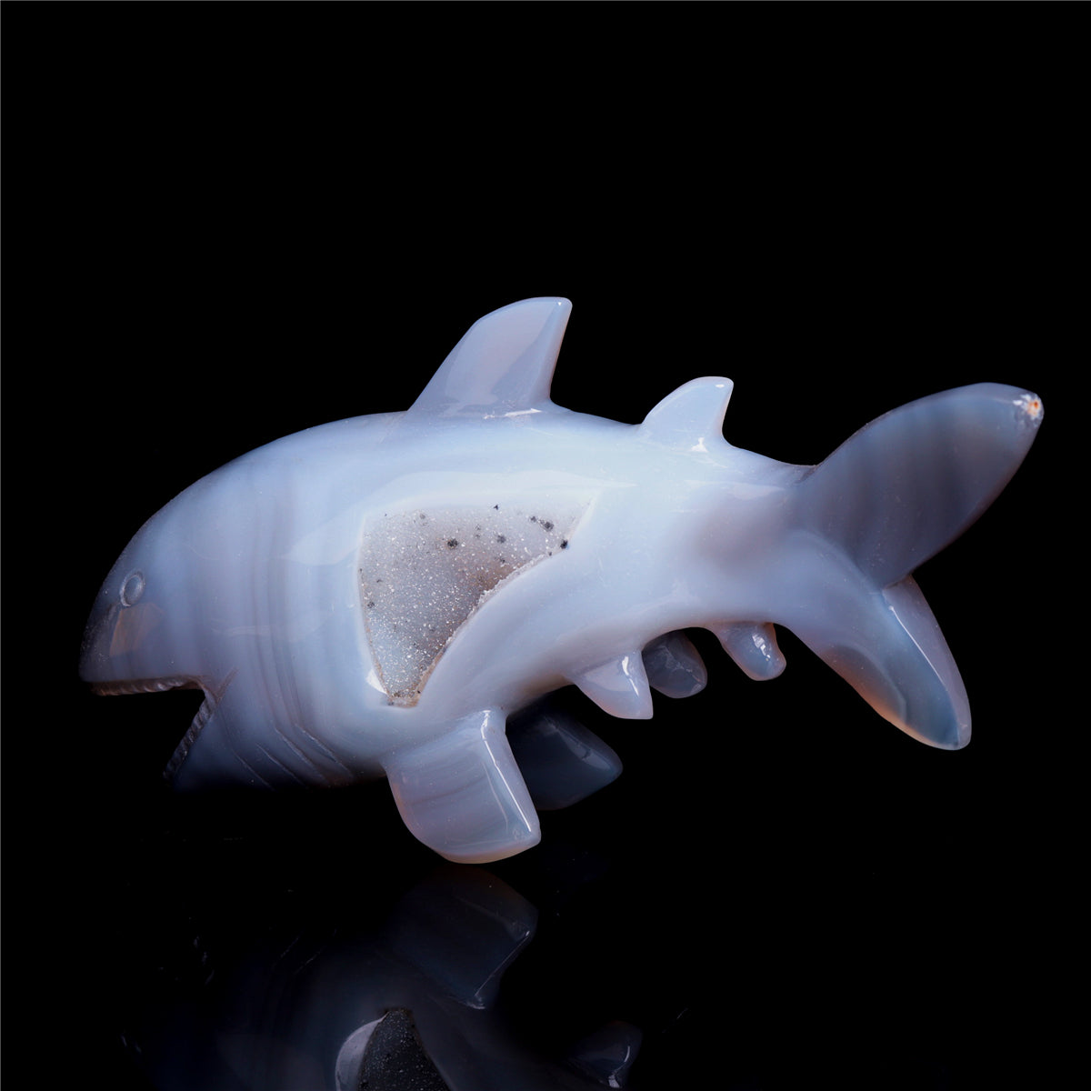 7.5" Druzy Agate Crystal Shark Figurine Quartz Animal Carvings