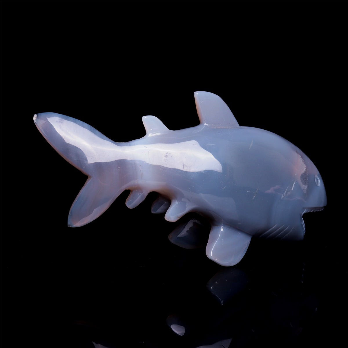 7.5" Druzy Agate Crystal Shark Figurine Quartz Animal Carvings