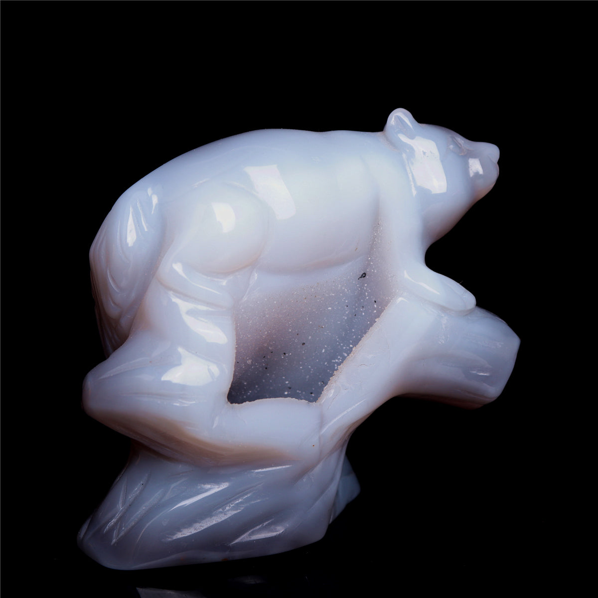 druzy agate Squirrel